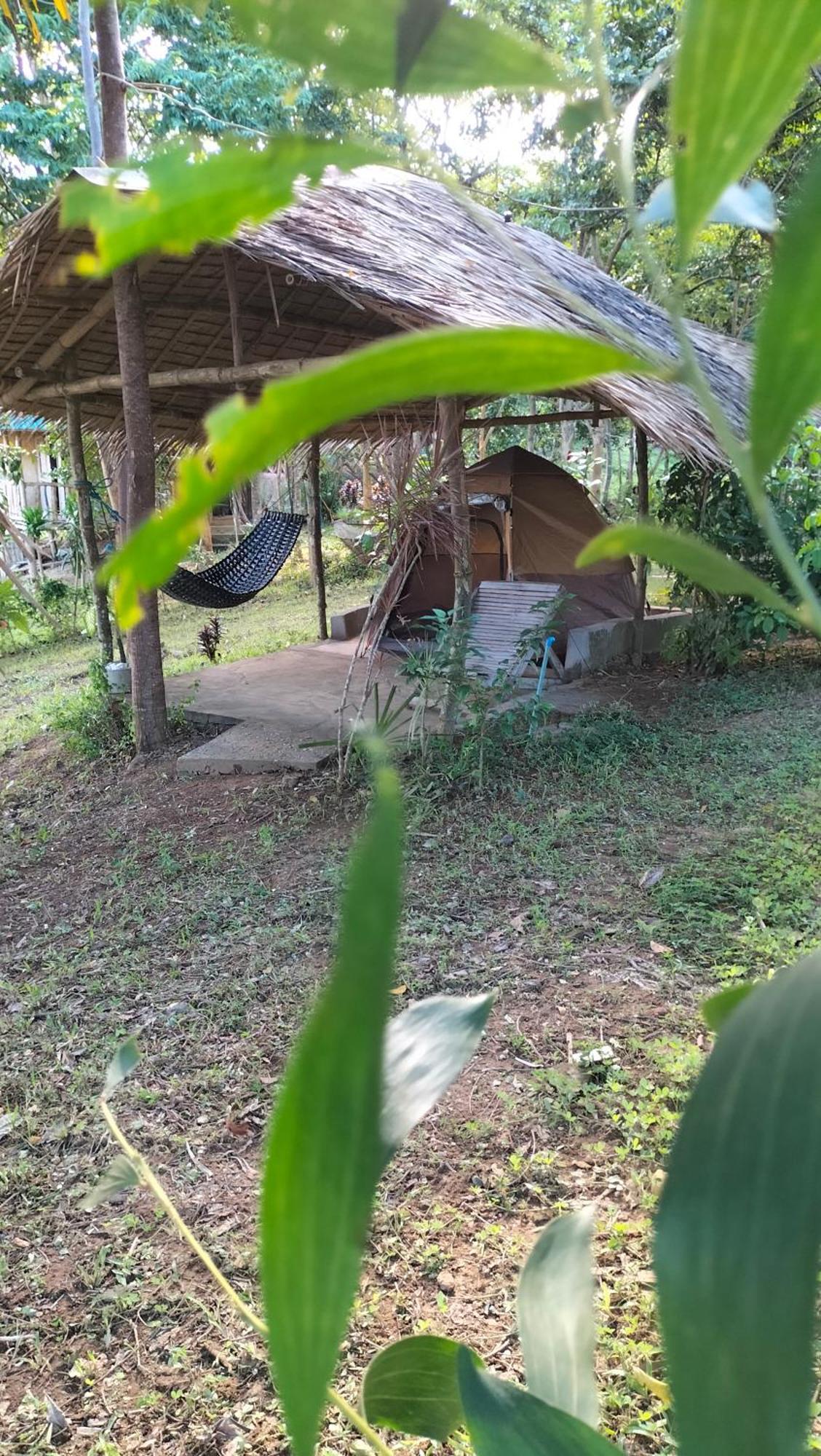 Erlittop Nature Lodge El Nido Ngoại thất bức ảnh