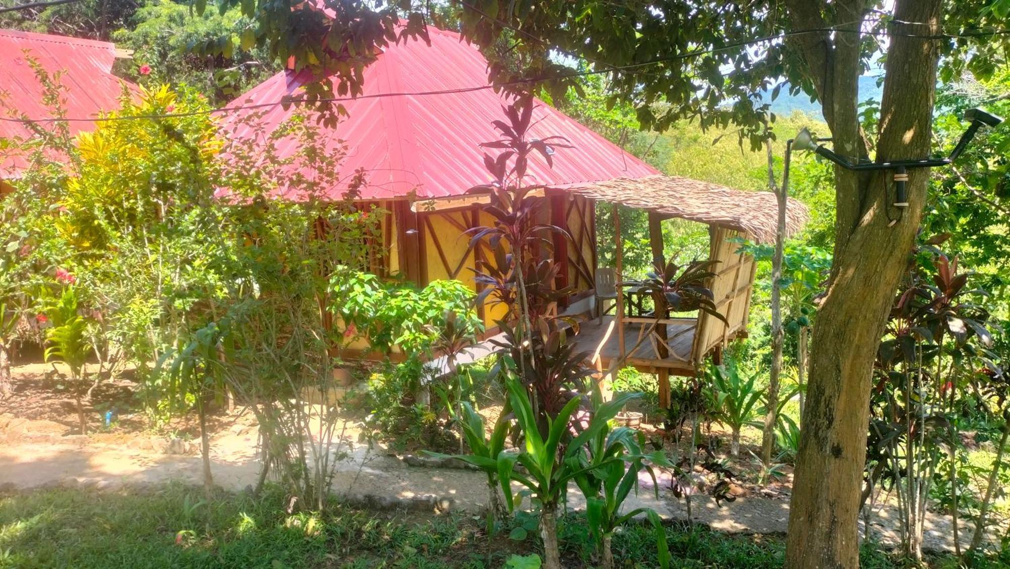 Erlittop Nature Lodge El Nido Ngoại thất bức ảnh